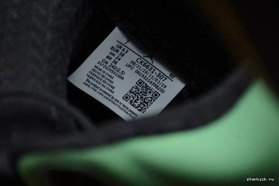 CK6631-307 AIR SE CK6631-307 OREGON JORDAN RETRO 5 1228